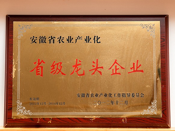 荣誉证书