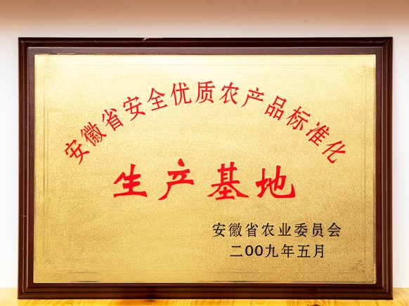荣誉证书